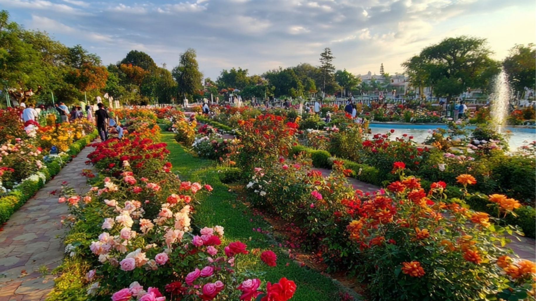 Zakir Rose Garden blooms and green lawns in Chandigarh